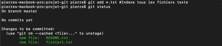 git add status