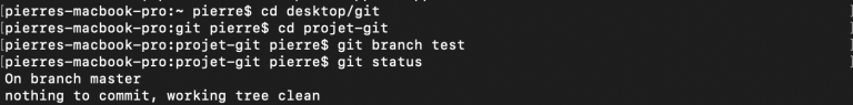 git branch