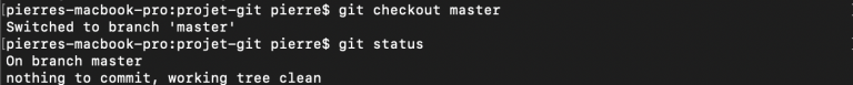 git checkout master