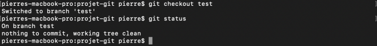 git checkout