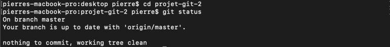 git clone local status