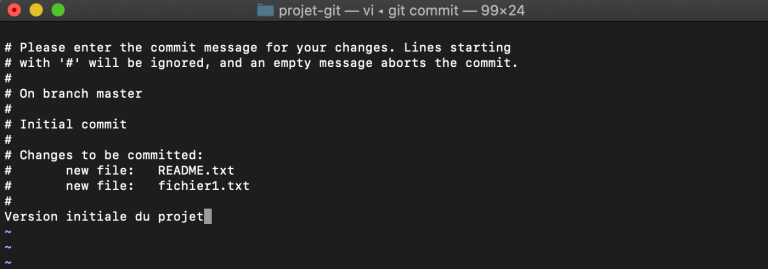 git commit message vim