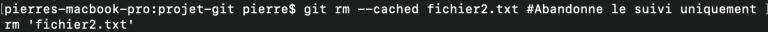 git rm cached abandon suivi