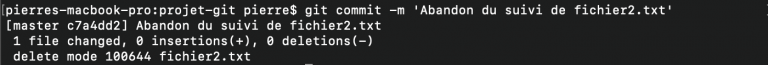 git rm cached commit