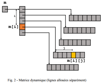 matrice dynamique