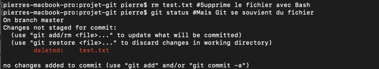 rm bash git status