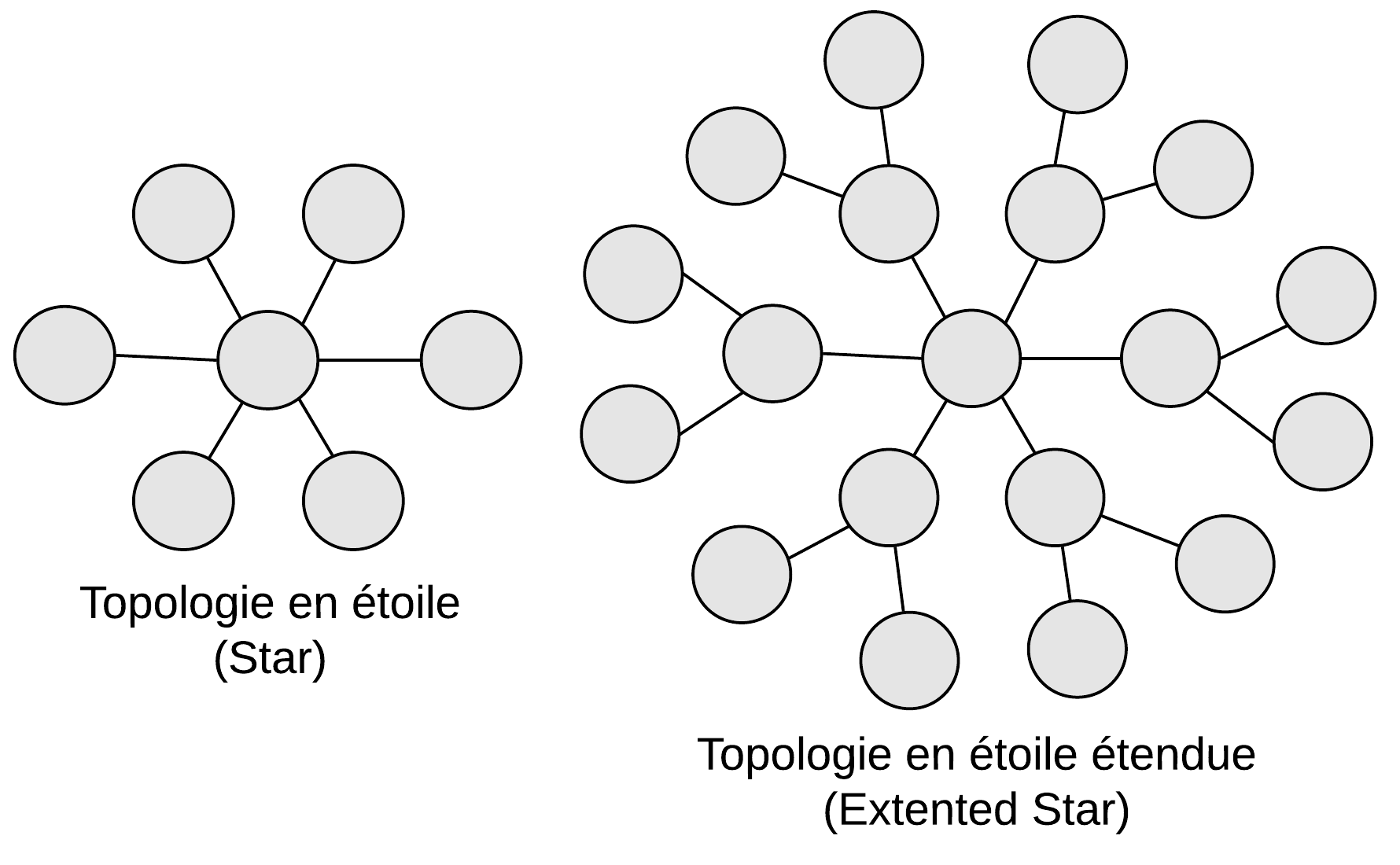 Topologie en étoile