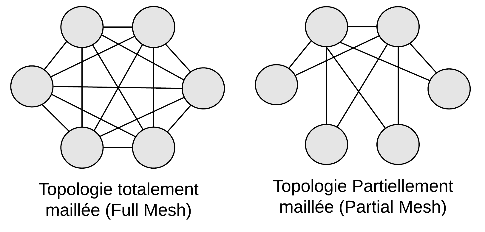 Topologie maillée