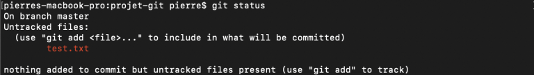 touch git status