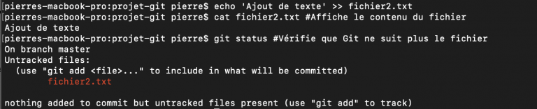 vérification git rm cached